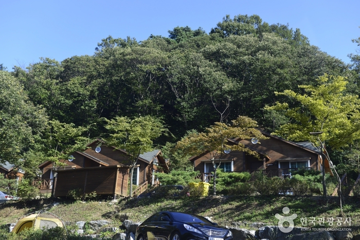 龙仁自然休养林용인자연휴양림 龙仁自然休养林용인자연휴양림