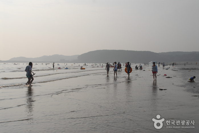 梦山浦海水浴场몽산포해수욕장 梦山浦海水浴场몽산포해수욕장