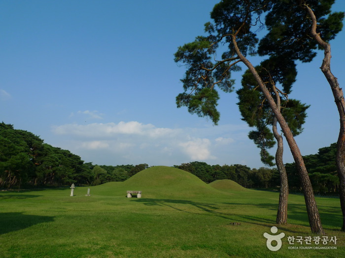 庆州五陵경주 오릉 庆州五陵경주 오릉