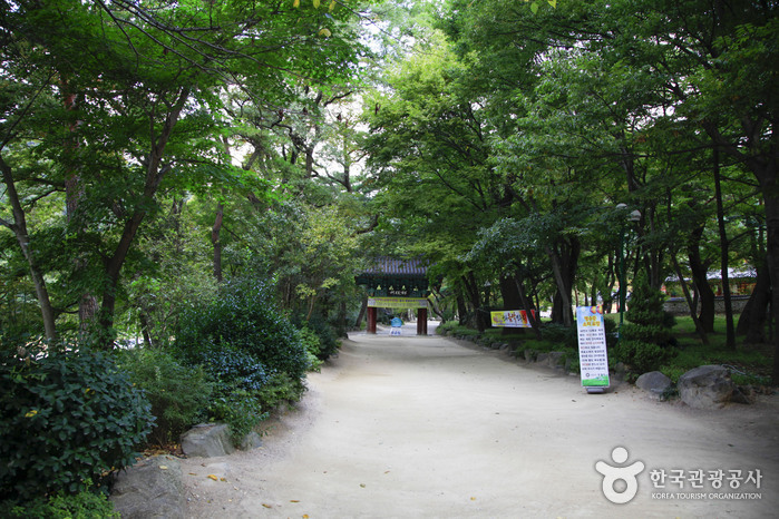 内延山郡立公园(내연산 군립공원) 内延山郡立公园(내연산 군립공원)