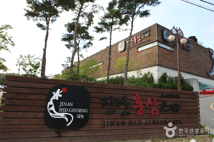 镇安红参SPA(진안홍삼스파) 镇安红参SPA(진안홍삼스파)