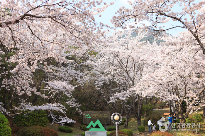 长福山雕塑公园장복산조각공원 长福山雕塑公园장복산조각공원