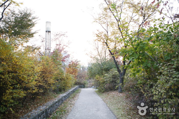 龙山家庭公园(용산가족공원) 龙山家庭公园(용산가족공원)