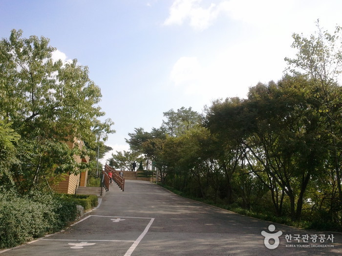 鹰峰山(首尔)응봉산(서울) 鹰峰山(首尔)응봉산(서울)