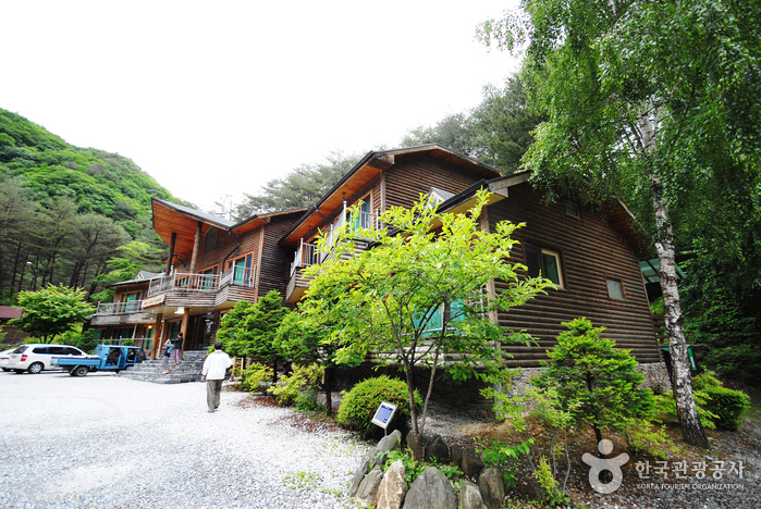 國立加里旺山自然休養林(국립 가리왕산자연휴양림) 國立加里旺山自然休養林(국립 가리왕산자연휴양림)