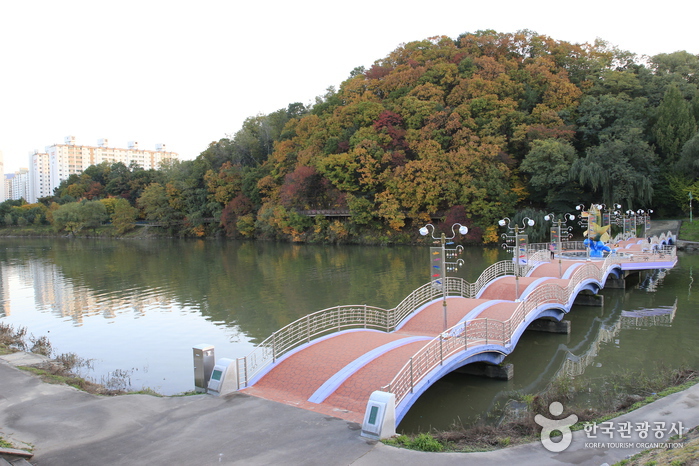 孔之川(金鱗主題街)(공지천(황금비늘테마거리))