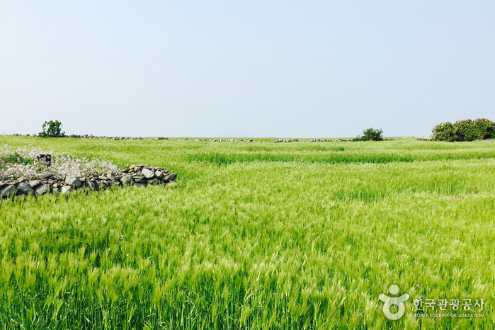 加波島(가파도)