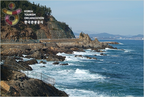 Samcheok Port – Along Saecheonnyeon Coastal Road (삼척항 - 새천년도로변) Samcheok Port – Along Saecheonnyeon Coastal Road (삼척항 - 새천년도로변)