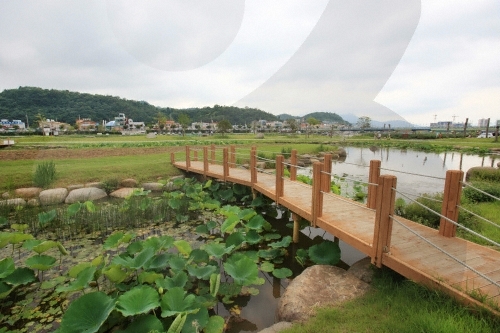 Tamjin River Wetland Eco-Park (탐진강 생태습지원)