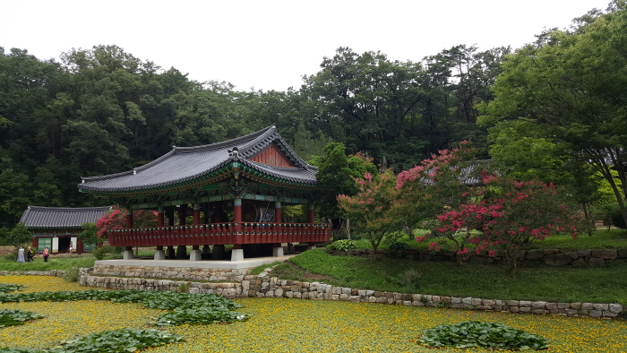 Uljin Bulyeongsa Temple (불영사(울진))