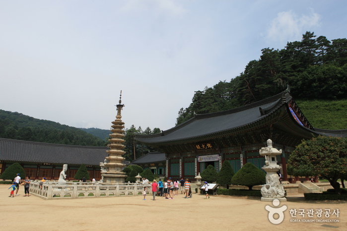 Woljeongsa Temple & Fir Tree Forest (월정사·월정사 전나무숲 )
