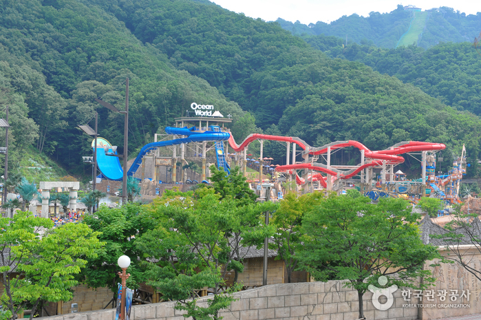 Sono Belle Vivaldi Park Ocean World (소노벨 비발디파크 오션월드)