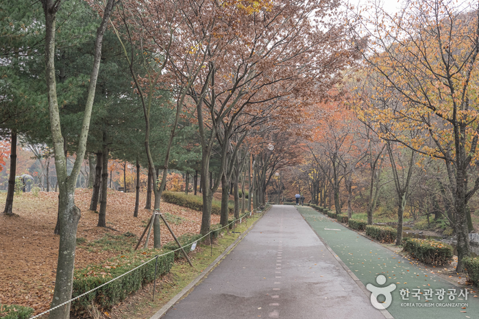 Yuldong Park (율동공원)
