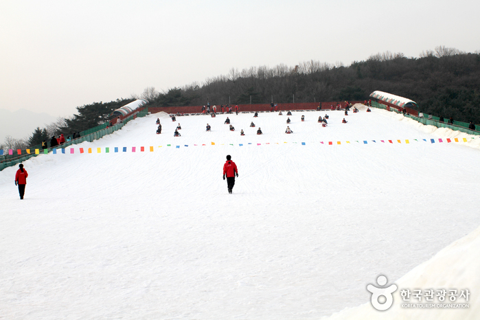 Seoulland Sledding Hills (서울랜드 눈썰매장) Seoulland Sledding Hills (서울랜드 눈썰매장)