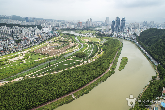 Taehwagang River (태화강)