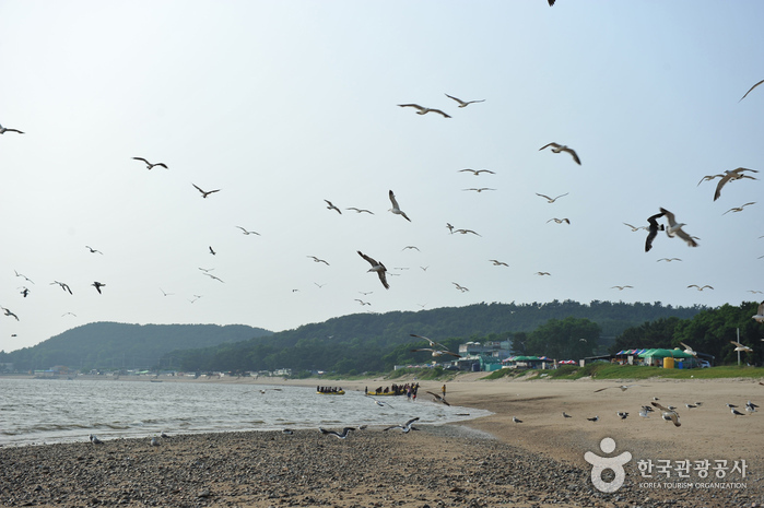 Masian Beach (용유도 마시안해변)
