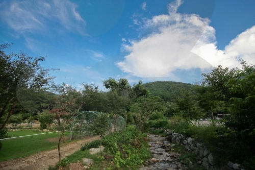 Yumyeongsan Mountain (유명산)