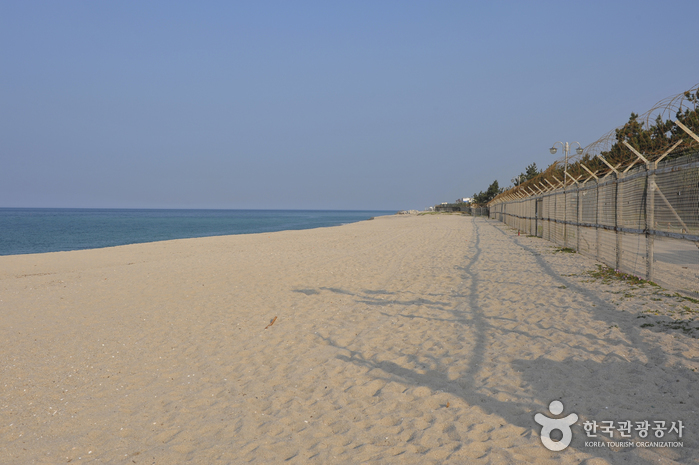 Yeongok Beach (연곡해변(연곡해수욕장))