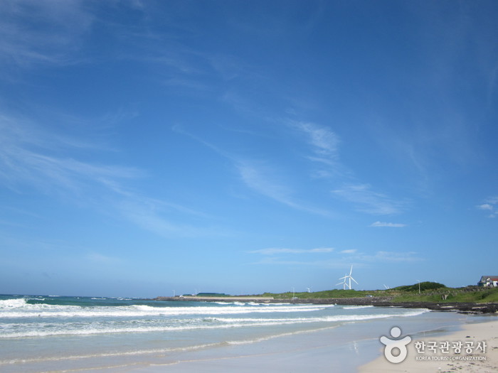 Woljeongri Beach (월정리해변(월정리해수욕장))