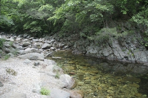 Yongdae National Recreational Forest (국립 용대자연휴양림) Yongdae National Recreational Forest (국립 용대자연휴양림)