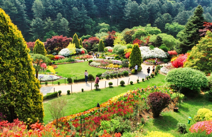 Spring Festival of The Garden of Morning Calm (아침고요수목원 봄나들이 봄꽃축제)