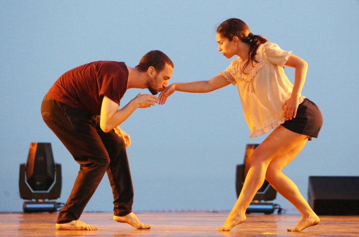 Busan International Dance Festival (부산국제무용제)