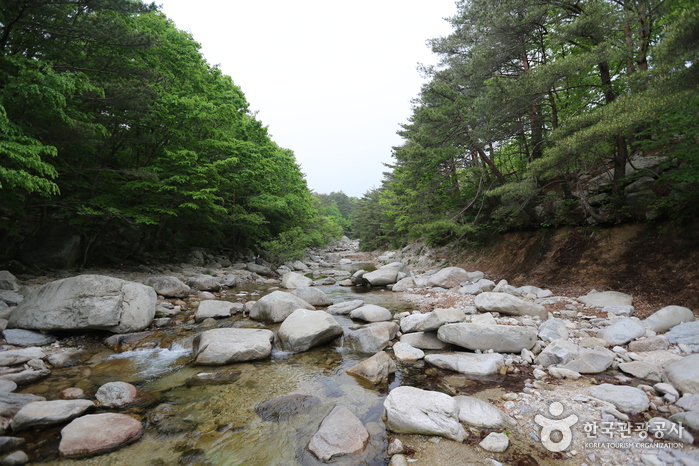 Misiryeonggyegok Valley (미시령계곡)