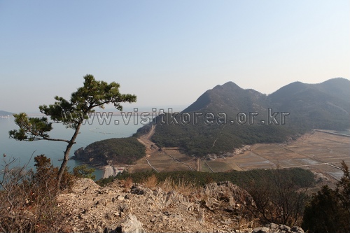 Sinsido Island Fishing Experience Village (신시도 어촌체험마을) Sinsido Island Fishing Experience Village (신시도 어촌체험마을)