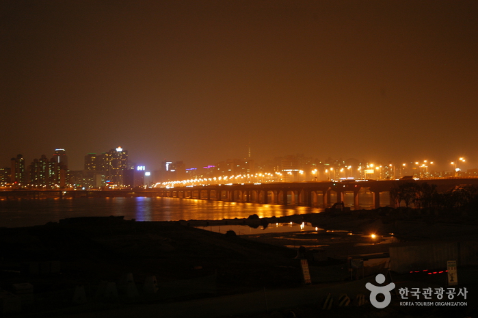 Mapodaegyo Bridge (마포대교 야경)