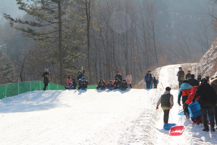 Yangpyeong Icefish Festival (물맑은양평 빙어축제)