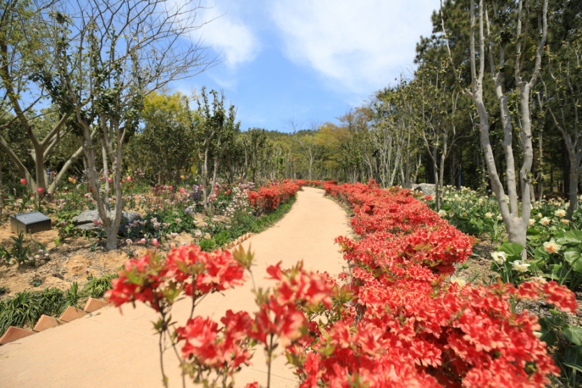 Cheonsaseom Bonsai Park (천사섬 분재공원)
