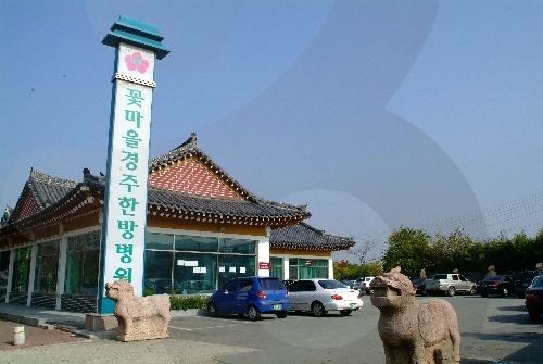 Hôpital du village floral de médecine orientale de Gyeongju (꽃마을 경주한방병원)