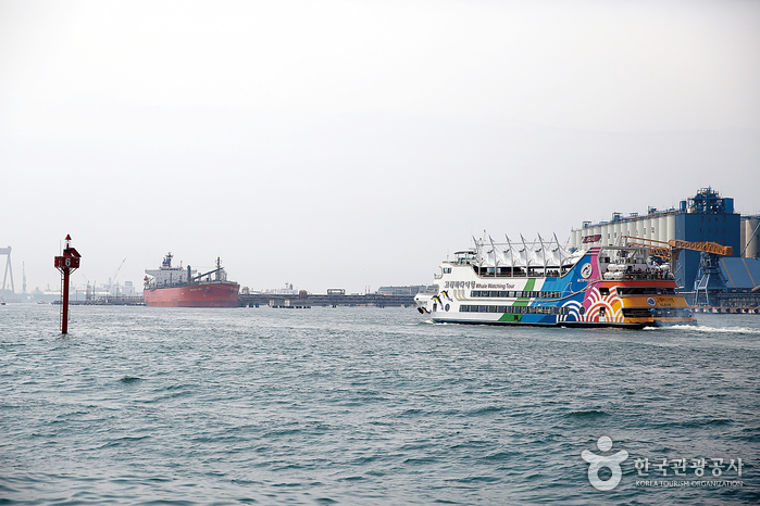 Croisière 'whale watching tour' de Jangsaengpo 장생포 고래바다여행선