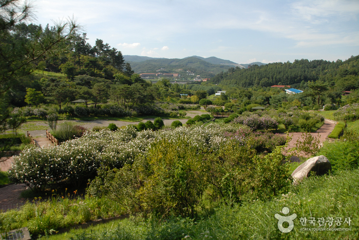 Erholungswald Geumgang (Arboretum, Forstmuseum) (금강자연휴양림(금강수목원,산림박물관)) Erholungswald Geumgang (Arboretum, Forstmuseum) (금강자연휴양림(금강수목원,산림박물관))