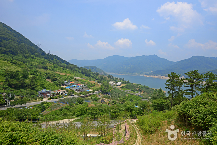 Erholungswald Gyemyeongsan (계명산자연휴양림) Erholungswald Gyemyeongsan (계명산자연휴양림)