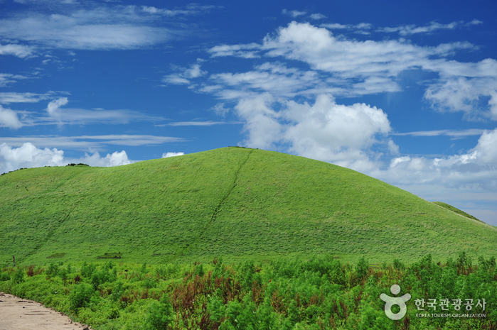 Berg Saebyeoloreum (새별오름)