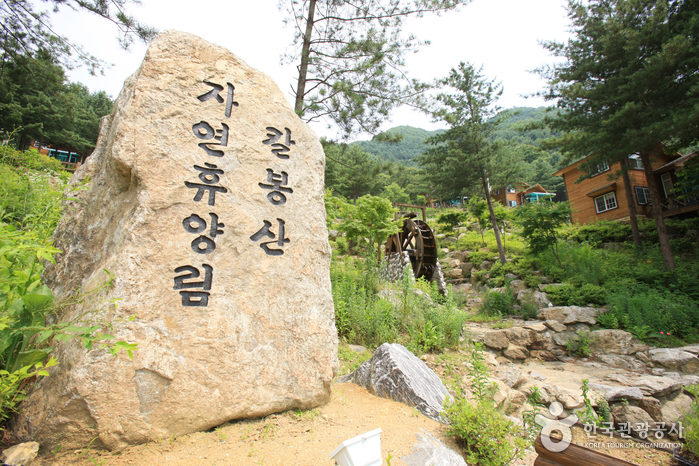 Erholungswald Kalbongsan (칼봉산자연휴양림) Erholungswald Kalbongsan (칼봉산자연휴양림)