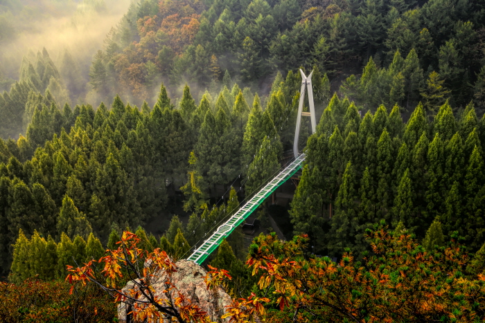 Erholungswald Jangtaesan (장태산자연휴양림) Erholungswald Jangtaesan (장태산자연휴양림)