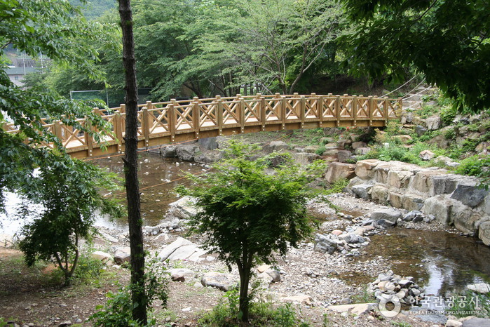 Erholungswald Jeamsan (제암산자연휴양림) Erholungswald Jeamsan (제암산자연휴양림)