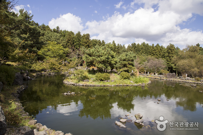 Erholungswald Jeju Jeolmul (제주절물자연휴양림) Erholungswald Jeju Jeolmul (제주절물자연휴양림)