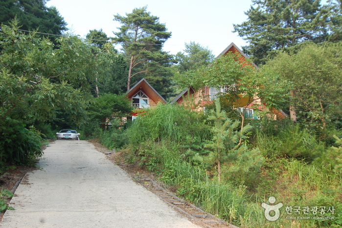 Erholungswald Jucheongang (주천강자연휴양림) Erholungswald Jucheongang (주천강자연휴양림)