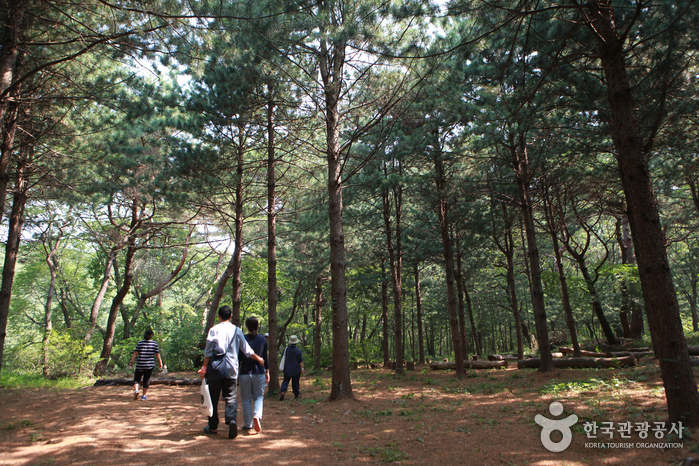 Berg Cheonggyesan (청계산)