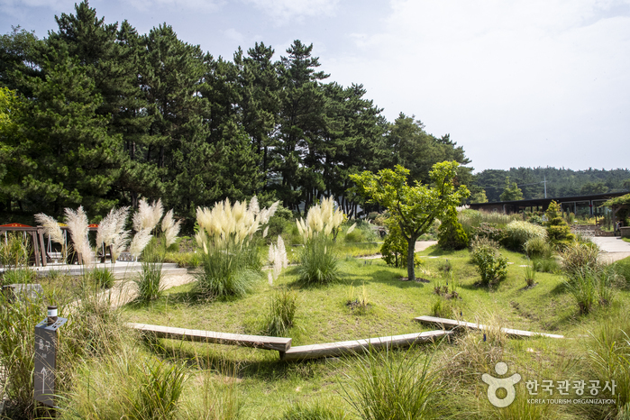 Cheollipo Arboretum (천리포수목원)