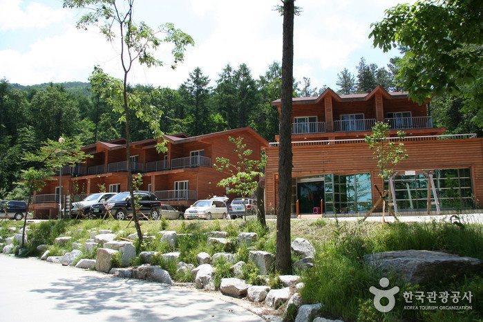 国立有明山自然休養林（국립 유명산자연휴양림）