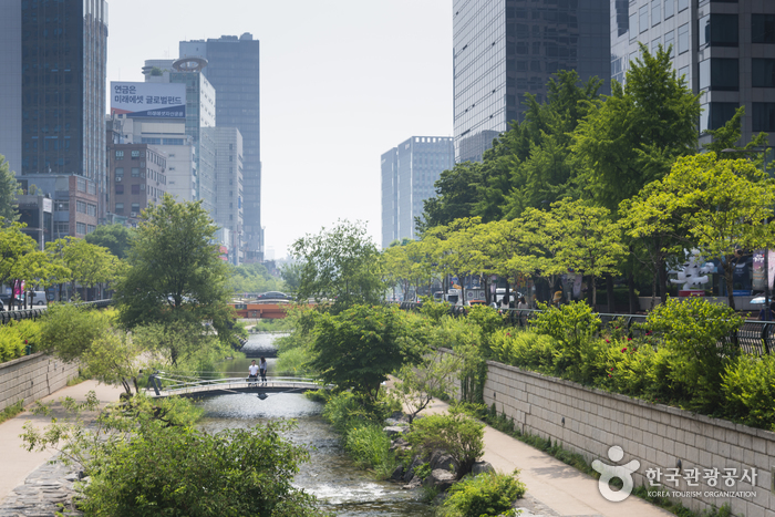 清渓川（청계천）