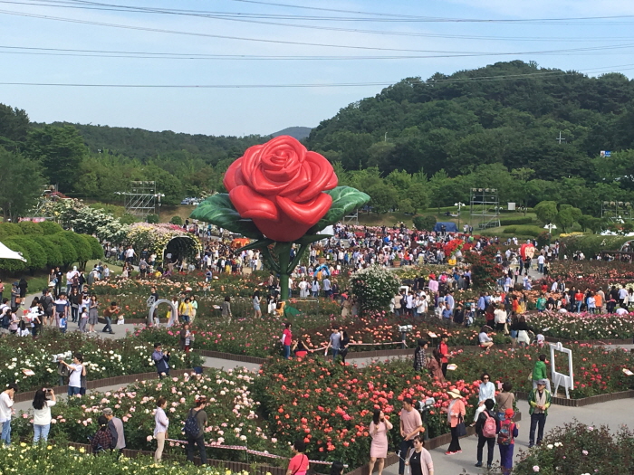 Festival de la Rosa del Gran Parque de Ulsan (울산대공원 장미축제)