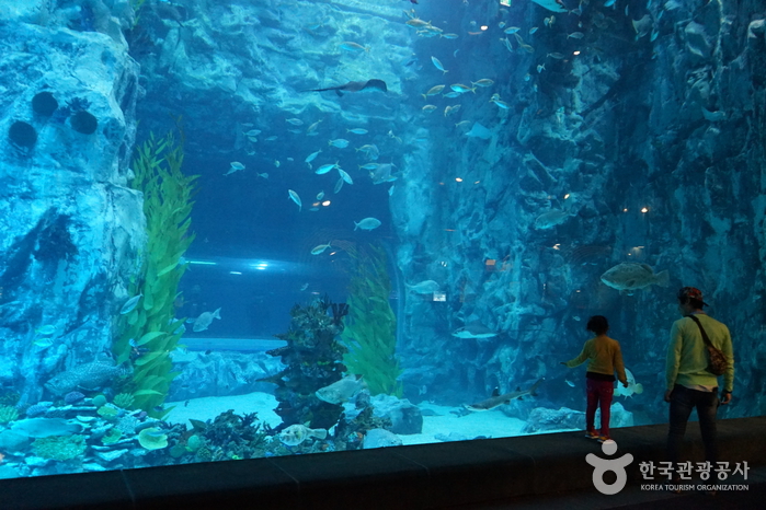 Aquarium de Lotte World (롯데월드 아쿠아리움)