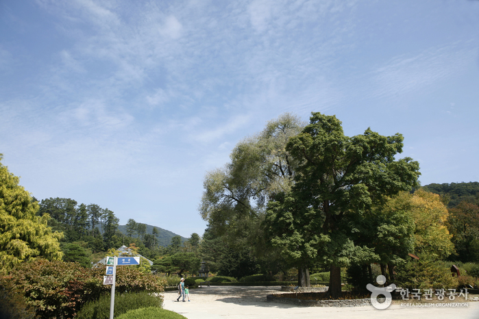 Arboreto Nacional (Bosque Gwangneung) (국립수목원(광릉숲))