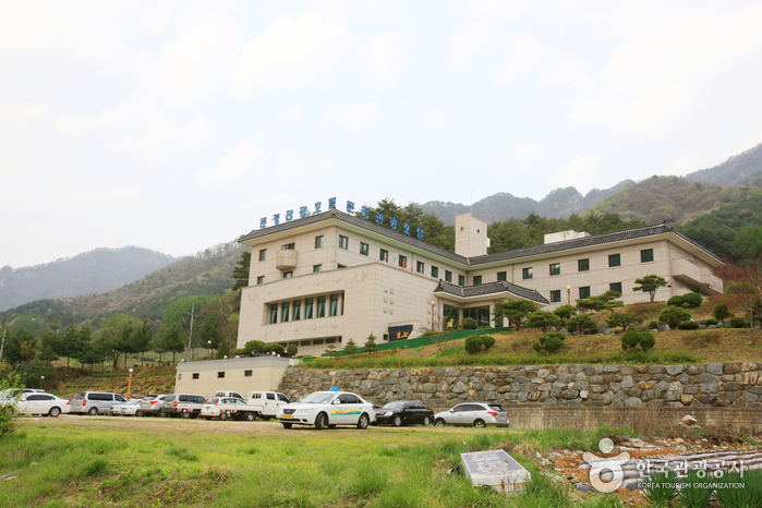 Mungyeong Tourist Hotel (문경관광호텔) Mungyeong Tourist Hotel (문경관광호텔)
