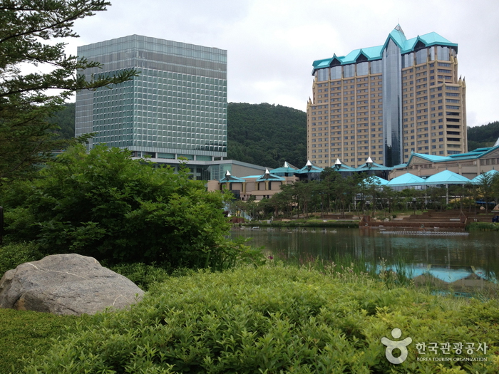 Casino Kangwon Land (강원랜드 카지노)